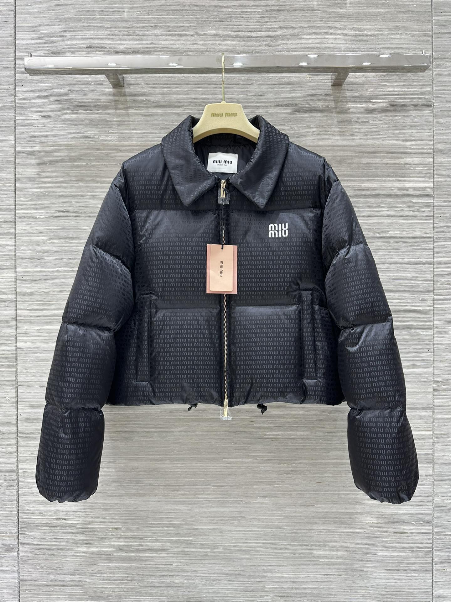 Miu Miu Down Jackets